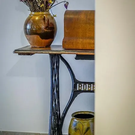 Apartament Anelić *