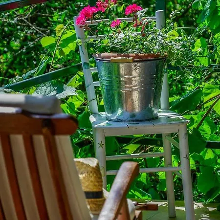Anelić Apartament *